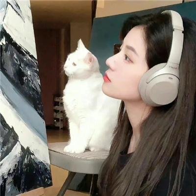 忙碌的一天